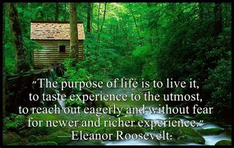The Purpose Of Life Is To Live It To Taste Experience To The Utmost
