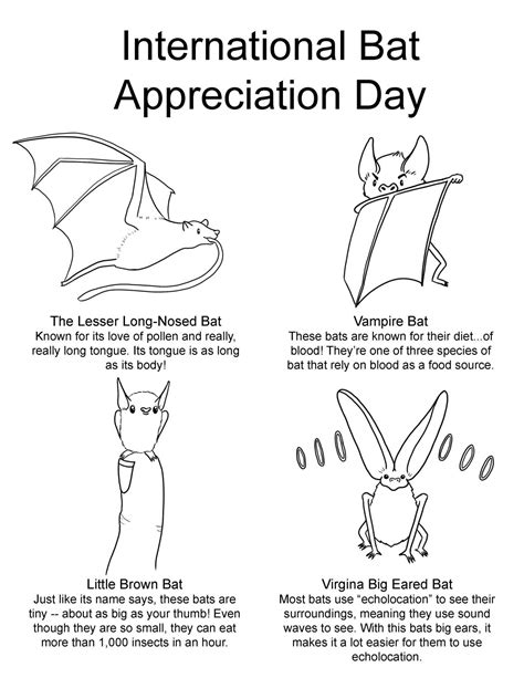 International Bat Appreciation Day Art Sphere Inc