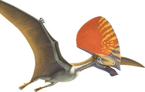 Pterosaurier Png Transparent Png All