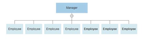 Four Types Of Organizational Charts Functional Top Down Flat