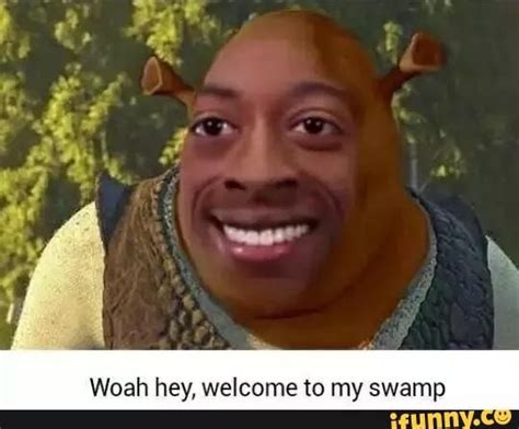 Wot Are You Doing In My Swamp Shrek Memes Original Memes Dankest Memes