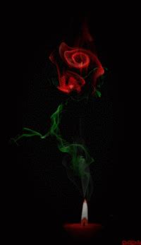 Transparencies GIFs - Get the best gif on GIFER