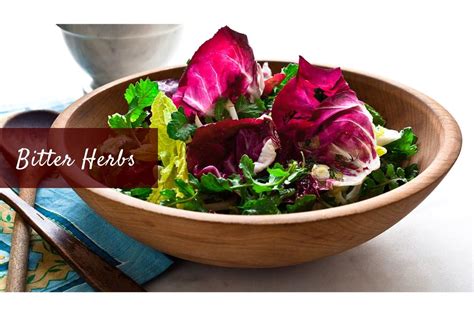 Heres The Best Bitter Herbs List For Your Overall Health