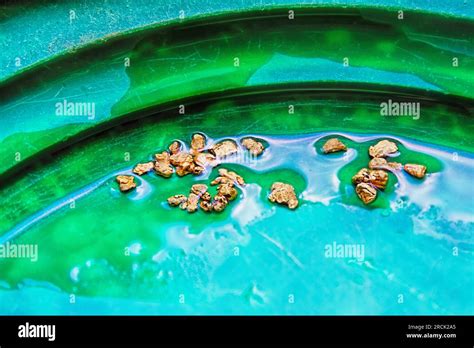 Gold nuggets in a gold pan Stock Photo - Alamy