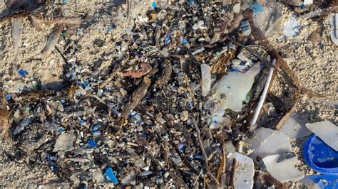 Environmental Pollution Sand Beaches Polluted With Pieces Of Plastic