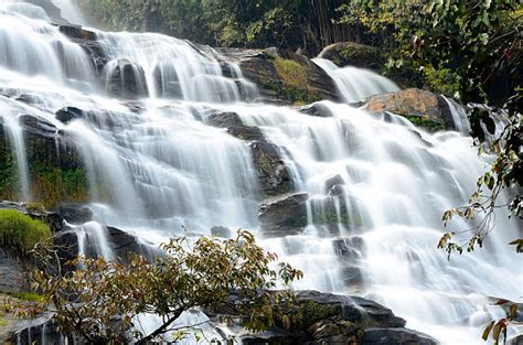 Temperate Rainforest Rainforest Waterfall Tropical Climate Stock Photos