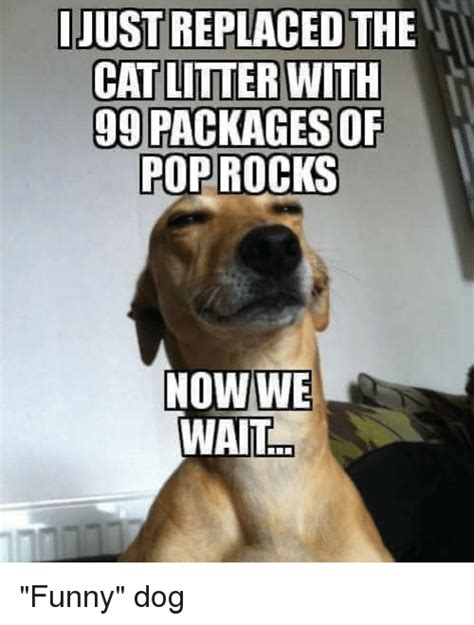 With tenor, maker of gif keyboard, add popular scp animated gifs to your conversations. JUST REPLACED THE CAT LITTER WITH 99 PACKAGESOF POPROCKS ...