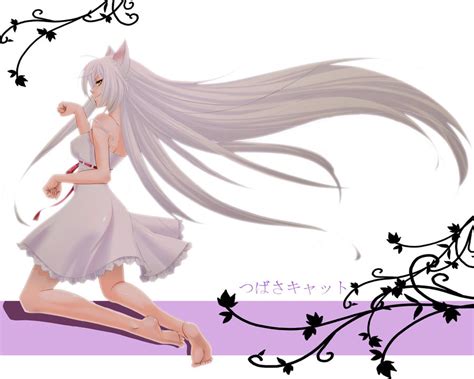 Anime Neko Girl With White Hair Image Abyss