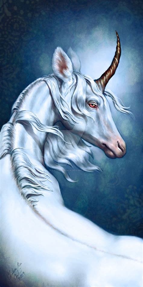 Unicorn Unicorn Pictures Unicorn Art Mythological Creatures