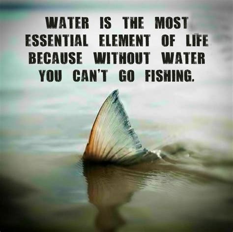 Funny Fishing Quotes With Pictures Shortquotescc