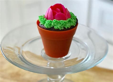 How To Make Flower Pot Cupcakes Inspired Chick