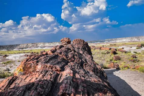 The Best 24 Hour Itinerary For Petrified Forest A Couple Days Travel