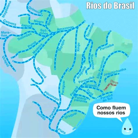 Forest Gis Sentido De Fluxo Dos Rios Brasileiros