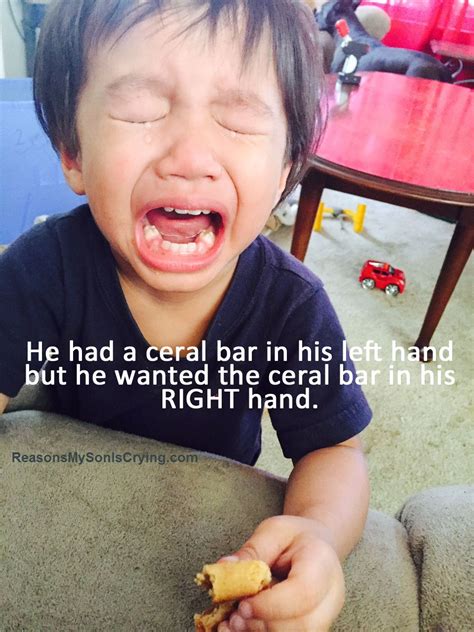 22 Hilarious Photos Which Capture The Ridiculous Reasons Kids Cry Artofit