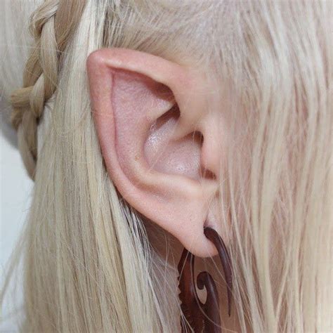 This initial consultation typically costs around $250 to $500 on top of the cost of elf ear modification if it pushes through, although some doctor may waive this fee. 9 best images about Ear Pointing on Pinterest | For dogs ...