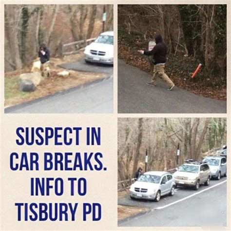 Tisbury Police Arrest Jacob Murphy In Connection With Car Break Ins