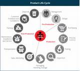 Pictures of Insurance Agent Life Cycle