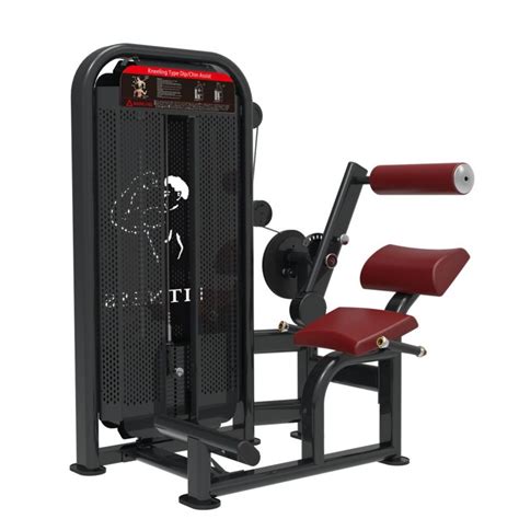 Diamond Abdominal Press Single Station Profit Fitness Complete Gym Setup Solutions In India
