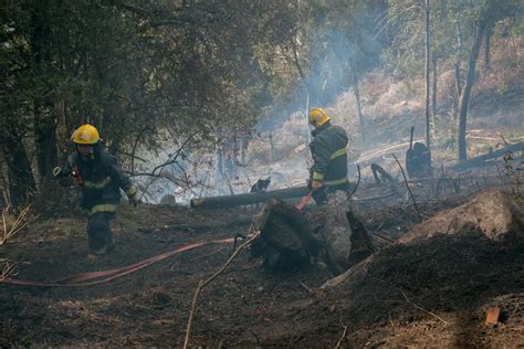 Reporte Oficial Por Los Incendios En Argentina Extinguieron Dos Focos
