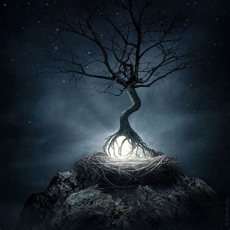 25 Best Mystical Trees Images On Pinterest