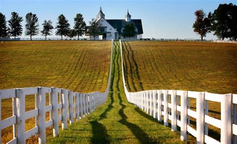 4 Tips For Staging Your Kentucky Horse Farm In 2020