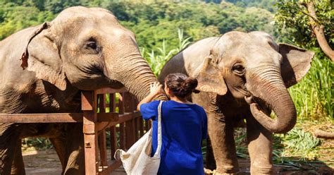 8 Wildlife Sanctuaries In Thailand For Nature Lovers In 2023