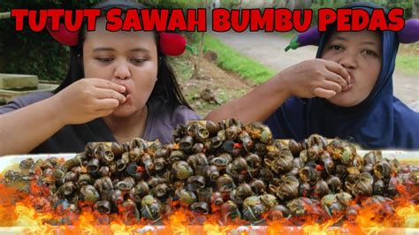 Tutut Sawah Bikin Mabok⁉️mukbang Tutut Sawah Sampe Monyong Youtube