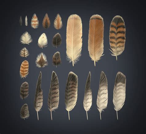 Artstation Red Tailed Hawk Feathers Texture Pack Resources