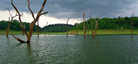 Detailed weather forecast in cities across the whole world for the next 10 days on yandex.weather. 5 Spectacular Hill Stations You Must Visit in Kerala ...