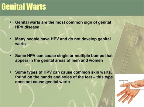 Ppt Genital Herpes Genital Warts Powerpoint SexiezPix Web Porn