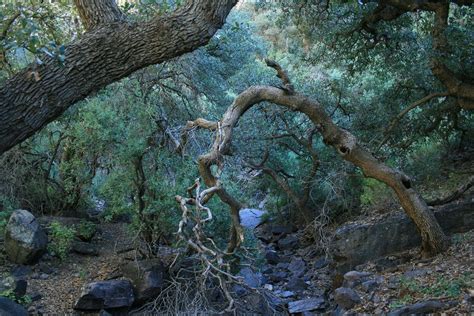 This Underrated National Monument Just Might Be The Most Beautiful