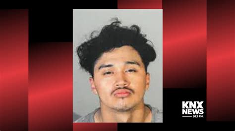 Man Charged With Assaulting 8 Women In L A