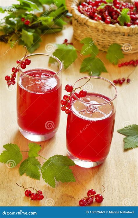Red Currant Drink Stock Image Image Of Botany Organic 15052663