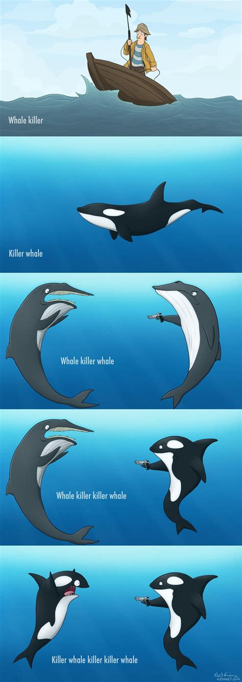 Killer Whale Orca Assassin Name Puns Know Your Meme