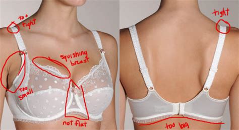 Step By Step Your Guide To Learn How To Wear Your Bra Correctly