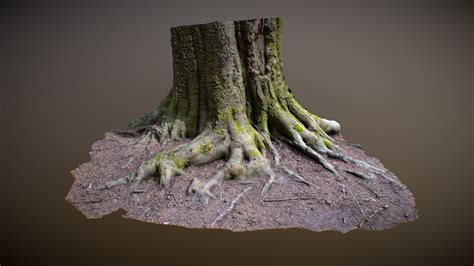 Tree Trunk Photogrammetry Download Free 3d Model By Pixelmitherer