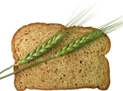 Mizzou Nutrition Mythbusters Myth White Bread Is The Same As Whole