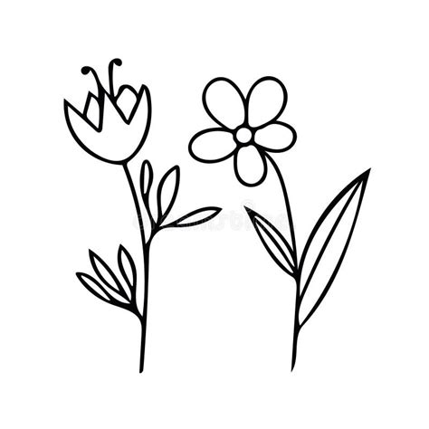 Flowers On A Stem With Leaves Hand Drawn In Doodle Style Set Of