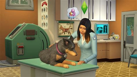 The Sims 4 My First Pet Stuff 2018 Promotional Art Mobygames