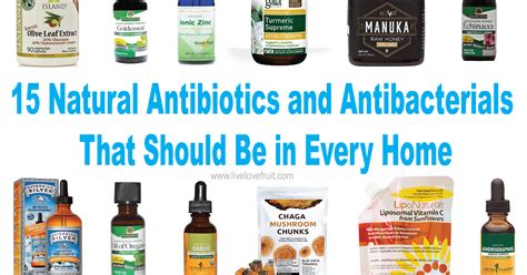 15 Best Natural Antibiotics And Antibacterials That Should Be In Every