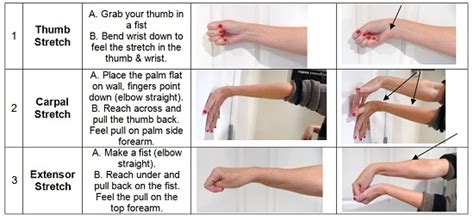 Carpal Tunnel Syndrome 3 Great Exercises Prorehab Chiropractic