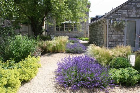 9 Ways To Use Lavender In Your Garden Design