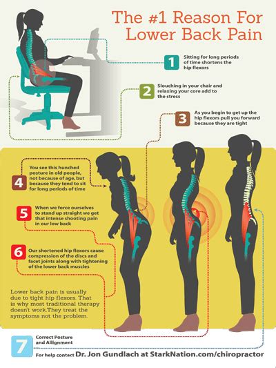 Here, learn how to perform a range of exercises and stretches for the gluteus maximus is one of the most important muscles in the body, and keeping it strong can help support the lower back. Pin on back pain