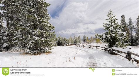 Winter Scene Royalty Free Stock Image Image 11358926