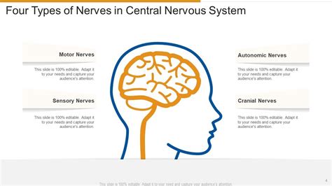 Central Nervous System Powerpoint Ppt Template Bundles Presentation
