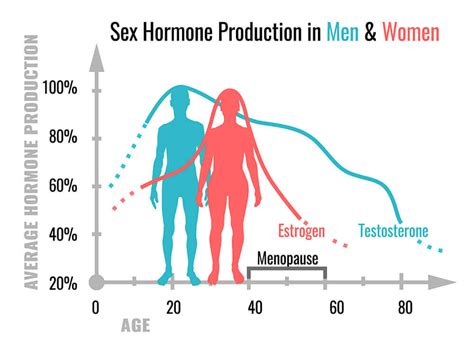 Die Funktionen Der Sexualhormone Besser Gesund Leben