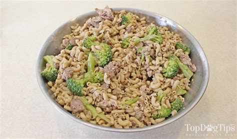 What makes the best dog food for weight loss? Homemade Weight Loss Dog Food Recipe for Overweight Dogs ...