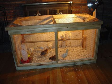 Pheasant Brooder House Plans House Design Plans Chicken Brooder