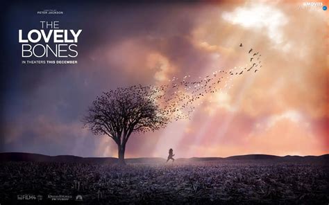 Birds The Lovely Bones Trees Movies Wallpapers 1680x1050