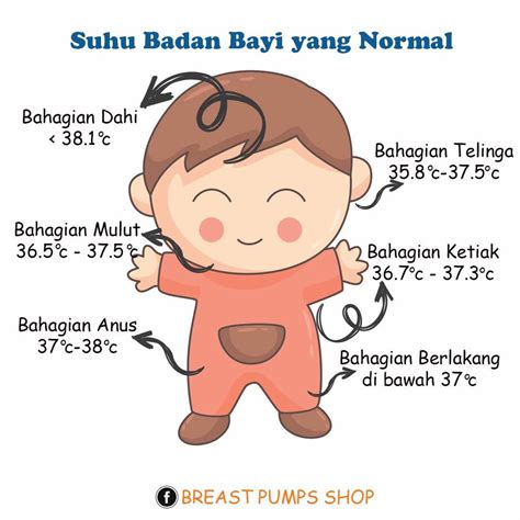 Suhu normal bayi cenderung lebih tinggi daripada anak yang berusia lebih tua, karena metabolismenya yang lebih cepat. Bahagian Tubuh Bayi Yang Berbeza Mempunyai Suhu Yang ...